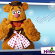 Illustration for article titled Commenter Of The Day: Fozzie Bear Edition